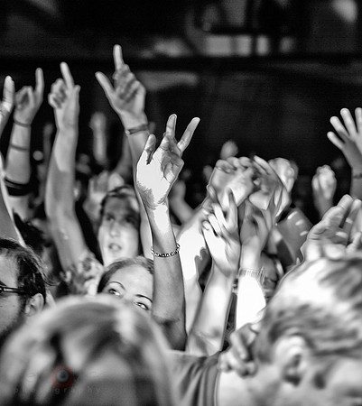 Crowd