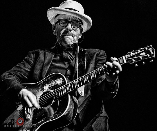 Elvis Costello and the Imposters