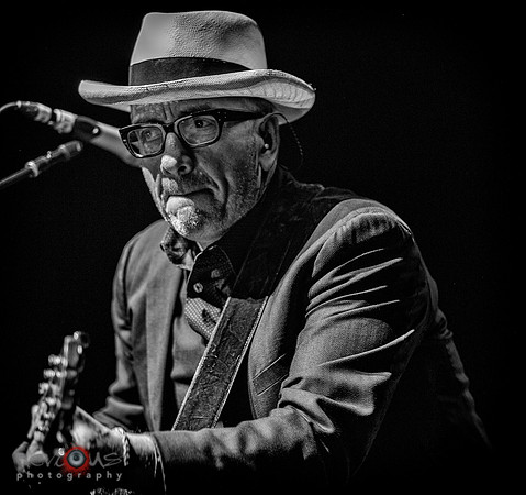 Elvis Costello and the Imposters