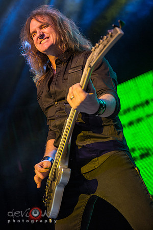 David Ellefson