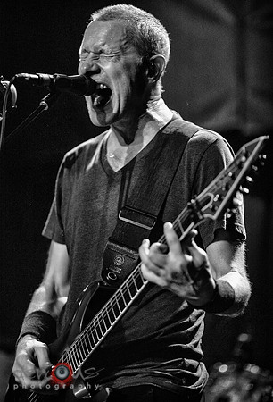 Page Hamilton