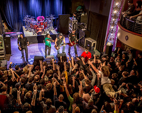 Crowd and Pit