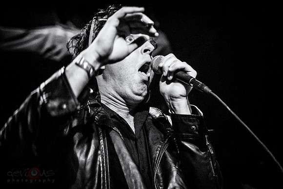 Mark Mallman