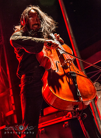 Joe Kwon