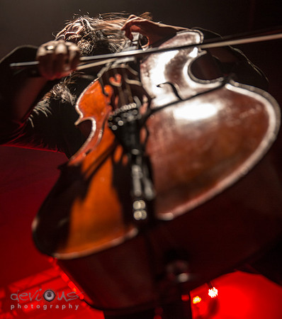 Joe Kwon
