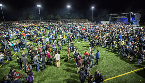 Crowd at The Avett Brothers