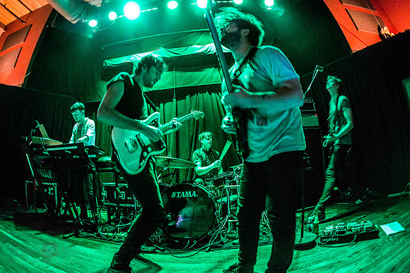 Foals