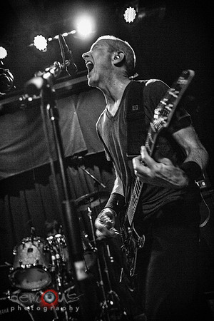Page Hamilton