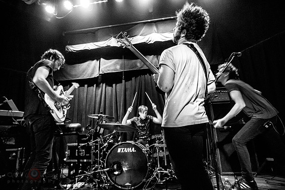 Foals
