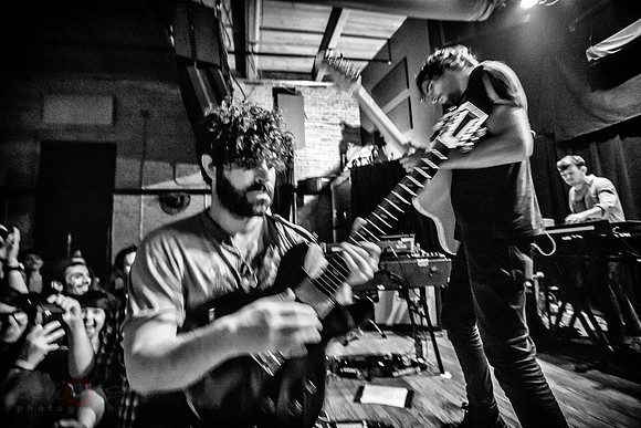 Foals