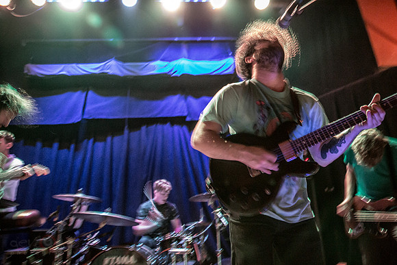 Foals
