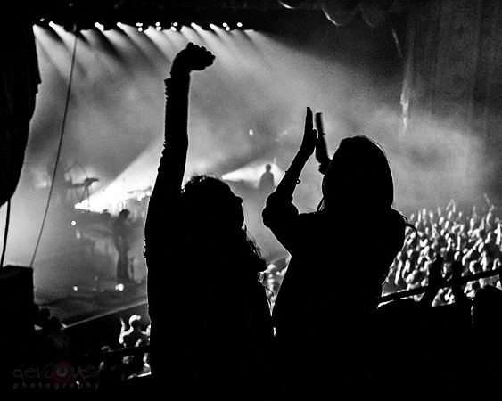 Fans