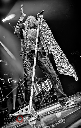 Joe Elliott