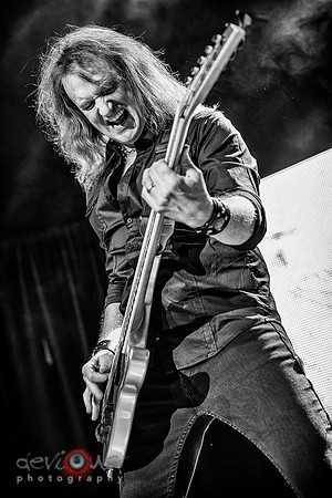 David Ellefson