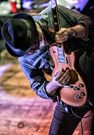 The Wildabouts
