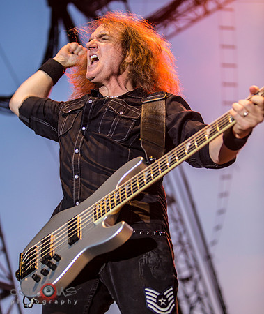 David Ellefson