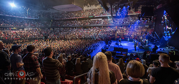 Crowd at Foo Fighters