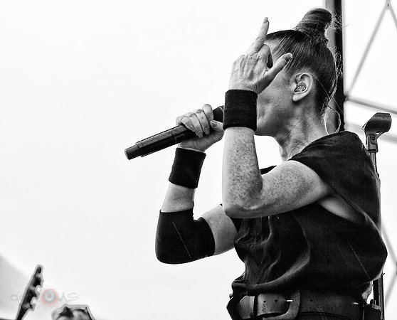 Shirley Manson, flipping the bird with Steve Marker's profile also making an apperance
