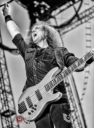 David Ellefson