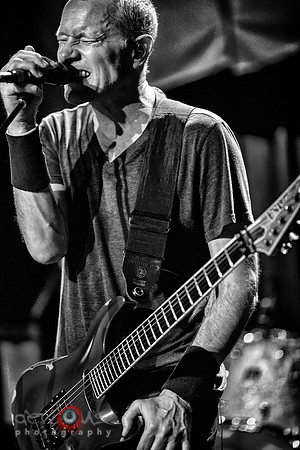 Page Hamilton