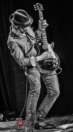 The Wildabouts