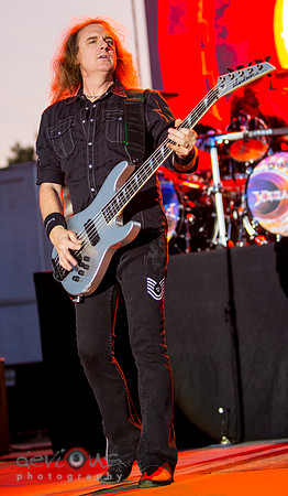 David Ellefson