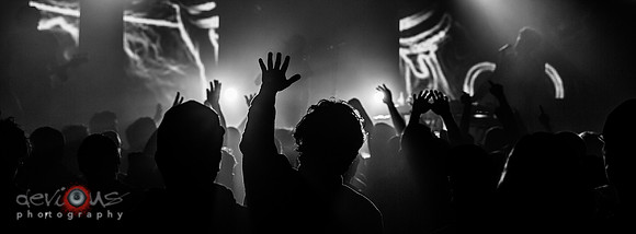 The Faint and The Crowd