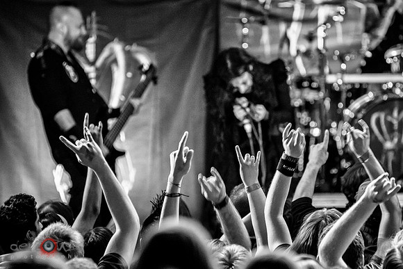 The Crowd