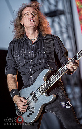 David Ellefson
