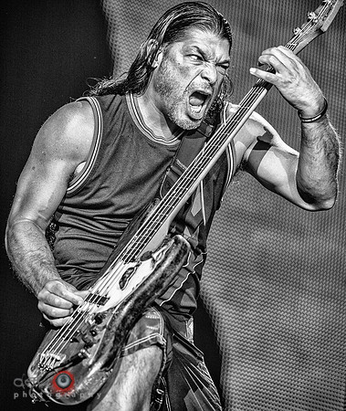Robert Trujillo of Metallica